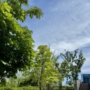 세라젬 부산연산점 | 운동과 내기의 연속｜부산시민공원｜올더어글리쿠키...31cm해물칼국수｜세라젬웰카페｜대구진막창｜역전...