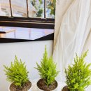 상남동141 이미지