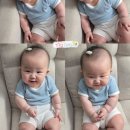 허그매트청주 | 또 한뼘 성장한 치즈의 170~180일 기록