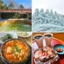 한밭뜰영농조합 | 충남 1박2일 겨울 여행 코스 추천 : 스플라스리솜 - 알프스마을 얼음분수축제 - 대일식당 - 한옥카페 지은