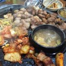 회기8 이미지