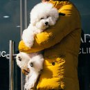 닥터페티앙동물병원 이미지