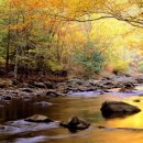 가을공인중개사사무소 이미지