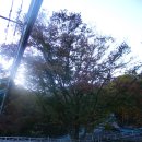 [서울] 늦가을 산사 나들이 ~ 우이동 윗쪽에 자리한 고즈넉한 산사, 북한산 도선사 (붙임바위, 우이동계곡) 이미지