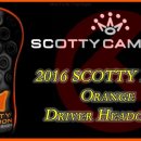 드라이버독 이미지