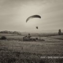 해밀목장 이미지