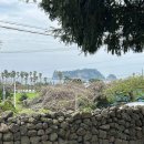 법환동-12 이미지