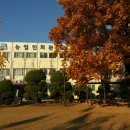 솔터농장 이미지