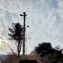 아마골농장 이미지