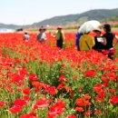 꽃내린영농조합법인 이미지