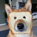 넘버원명품세차 이미지