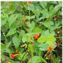 나를 찾아 떠나는 심리여행 이미지