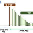 리버브루 Daum카페