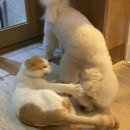 개스타일 이미지