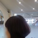 롤앤컷 - 세종특별자치시 보람동로 14 | 롤앤컷