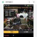 혹시 팝콘티비 도둑고양이tv 채널 아는 사람? 이미지