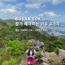 백양대로700번길(신라대학길) | 부산50K 트레일런 대회 접수안내 및 꼭 신청해야하는 이유 3가지