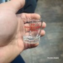 코리아중년나이트 이미지