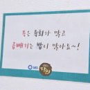 마산집 | 창원 상남동 육회비빔밥 맛집 찾는다면? 40년 전통 마산집 방문 후기