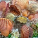 김영옥식당 이미지