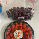 청춘과일 이미지