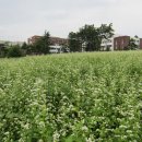 대구대학교 서문 이미지