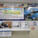 까멜리아 이미지