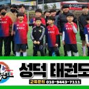 성덕태권도 이미지