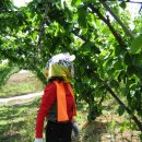 은식농장 이미지