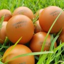 거문농장 이미지