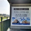 안성천작은미술관 | 안성에서 문화 예술 감성 충전하기 좋은 힐링 공간 안성천과 새로 개관한 미술관 결 탐방 후기 입니다.