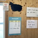 모자반돼지국밥 | [제주 성산 맛집] 제주 휘닉스 아일랜드 근처 아침 섭지국밥 몸국 고사리해장국 후기