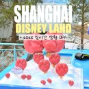 캐리비안민박 | 상하이 디즈니랜드 티켓 가격 입장권 재입장 | 2026 실시간 dpa 대기 준비물