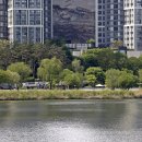 원천호수 이미지