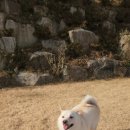 워니시티 이미지