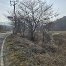 솔라공인중개사사무소 이미지