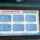 다옴 햇골 캠핑장 이미지