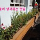 퍼진궁뎅이 이미지