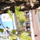 우두강둑길 이미지