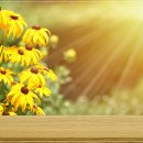 홍비뇨기과의원 이미지