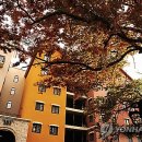 별빛마을리조트 이미지