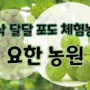 요한농원 이미지