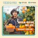 김복희 농장 이미지