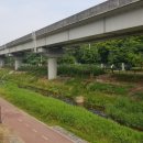 애니카랜드 상하점 이미지