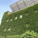 태호 골프연습장 이미지