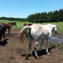 이시돌농장 이미지