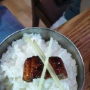 장어독립 이미지