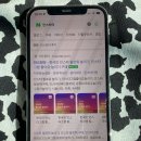 틱톡 | 틱톡 팔로워 구매 늘리기 상승 후기