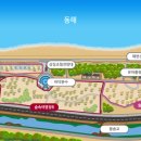 고래불국민야영장 이미지