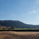 거문농장 이미지